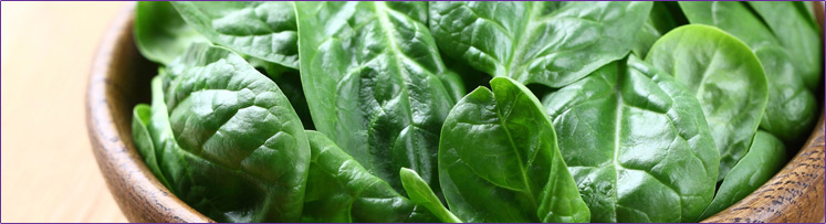 13-744px-spinach.jpg